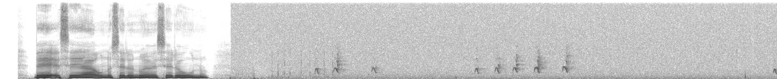 Great Thrush - ML260697