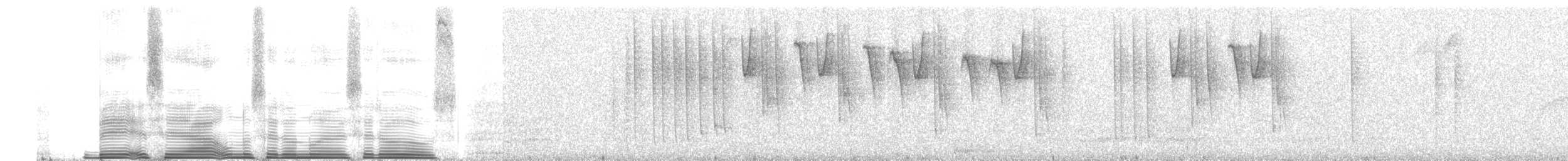 Tyrian Metaltail - ML260698