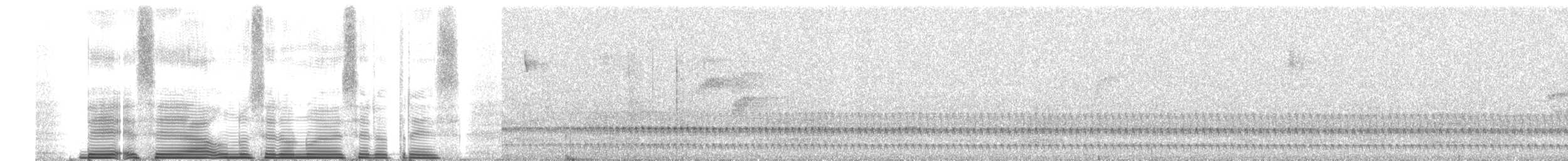 Pale-bellied Tapaculo - ML260699