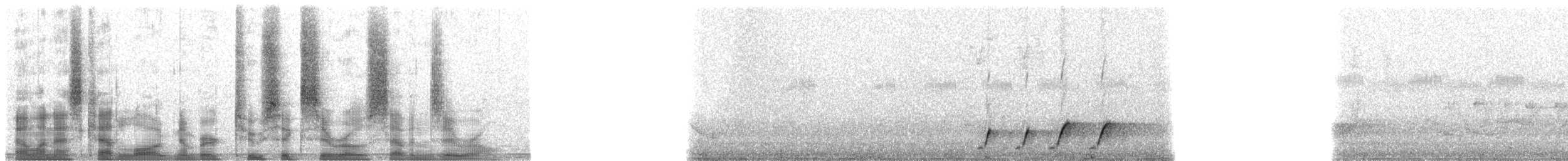 rødpannebuskvarsler - ML26070