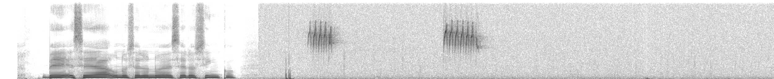 Agile Tit-Tyrant - ML260701