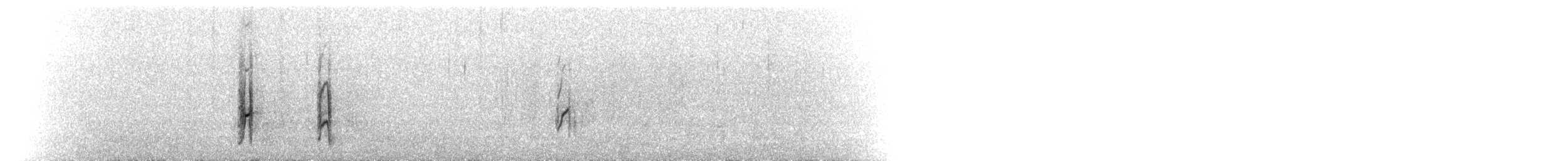 Txirri buztanzorrotza - ML260751531