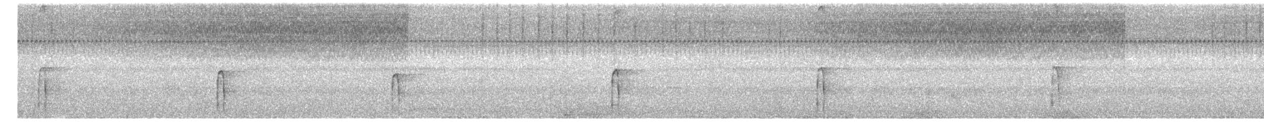 strakapoud americký - ML260762471