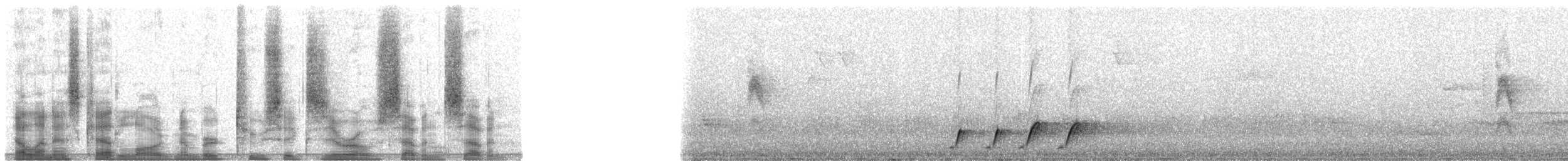 rødpannebuskvarsler - ML26077