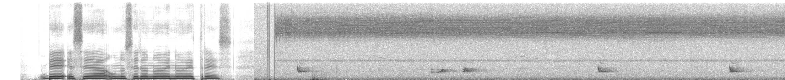 Bindenschwanz-Nachtschwalbe - ML260789