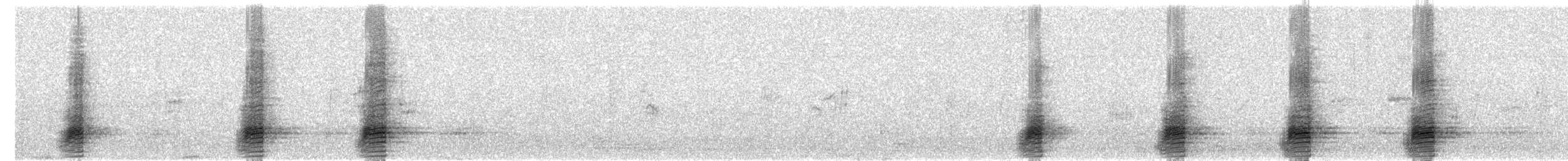 Stockente - ML260794071