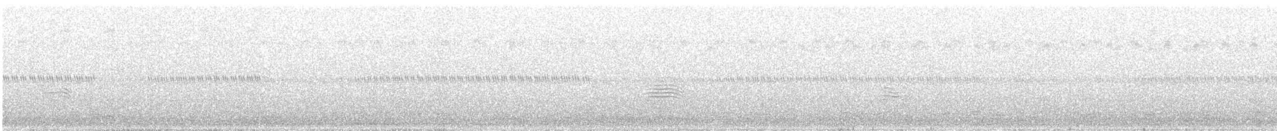 Common Nighthawk - ML260810981