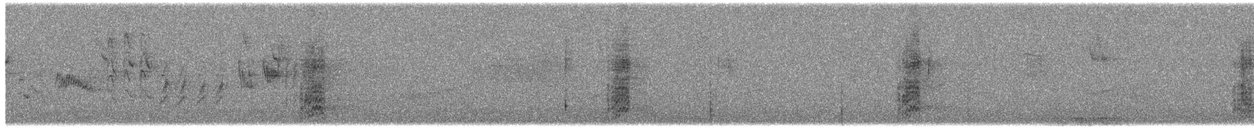 Гіла чорновола [група formicivorus] - ML260844301
