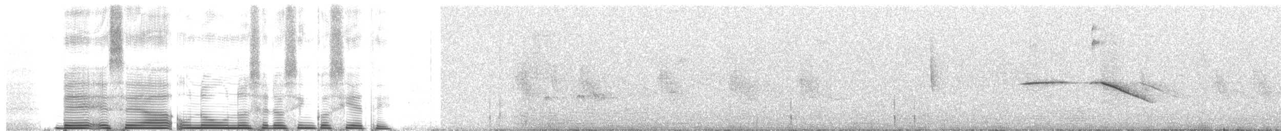 Colibri de Mulsant - ML260853