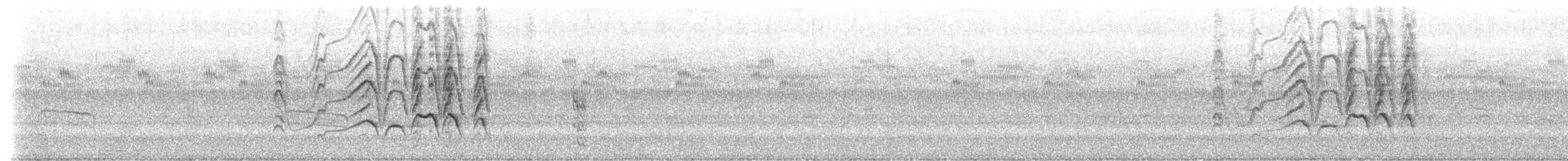 Kara Karınlı Islıkçı Ördek (fulgens) - ML260901231