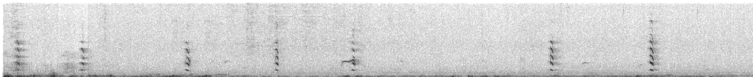 Black-tailed Godwit - ML260965591