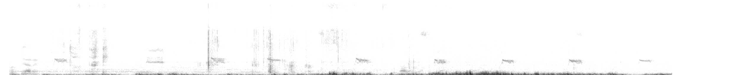 Mornellregenpfeifer - ML260970391