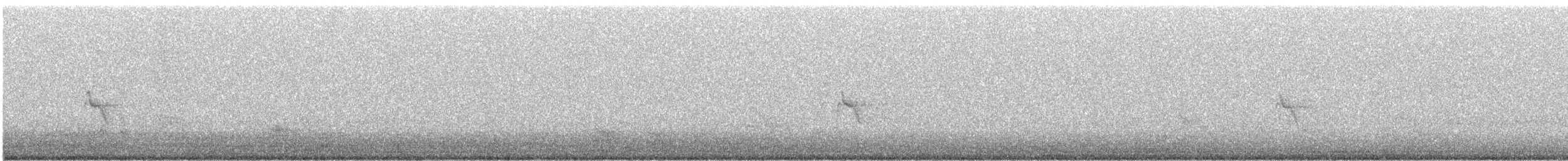Sperlingsvogel, unbestimmt - ML260970661