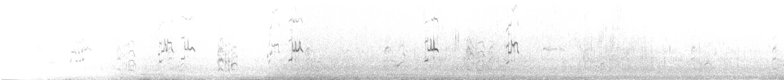 Kara Gagalı Sumru (sandvicensis) - ML260976351