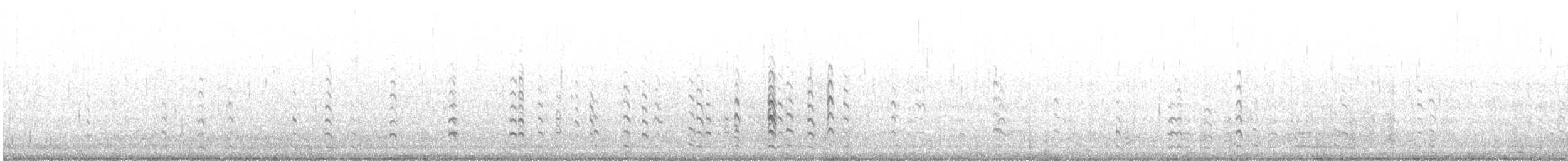 לימוזה מצויה (islandica) - ML260978741