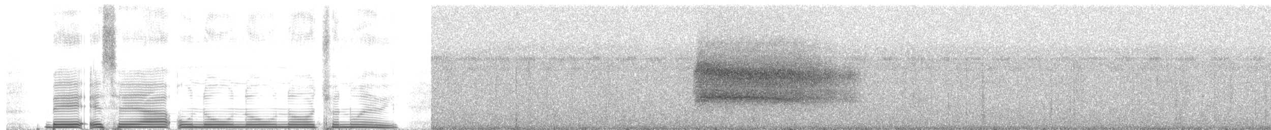 Lita Woodpecker - ML260985
