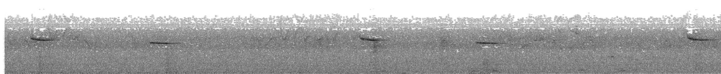 Pygmy Cupwing - ML26100801