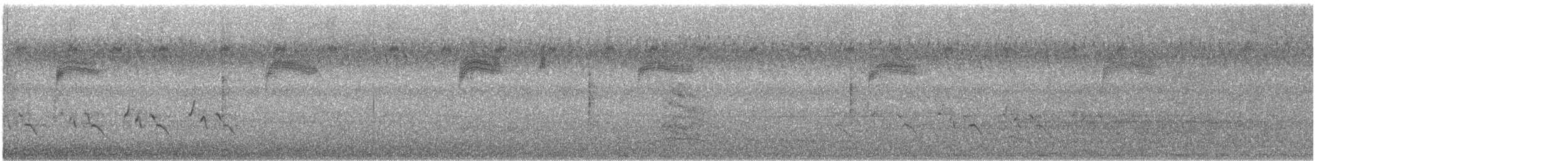 Поплітник каролінський - ML261021891