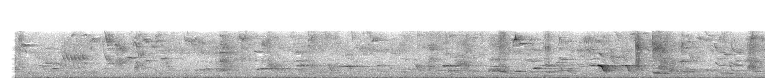 Tui - ML261032571