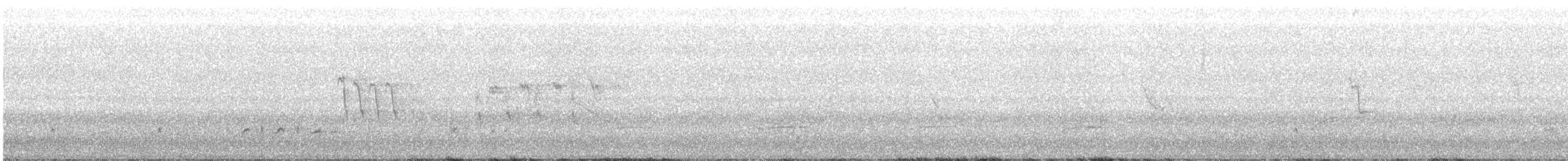 Australian Reed Warbler - ML261037951