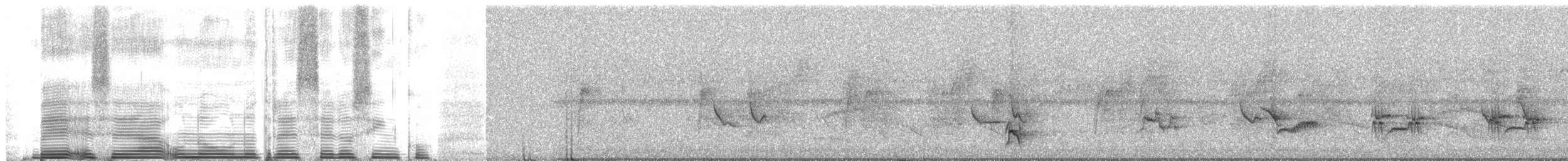 Schwarzschnabeldrossel (debilis) - ML261101