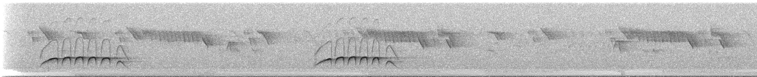 Sibilant Sirystes - ML261107101