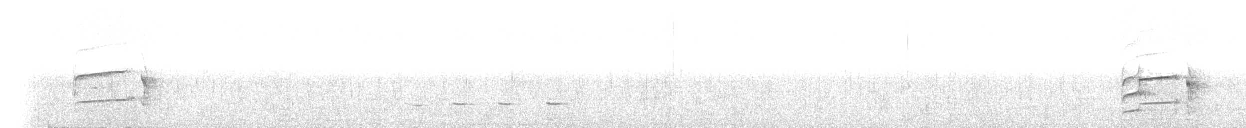 Kieferntrogon - ML261166551