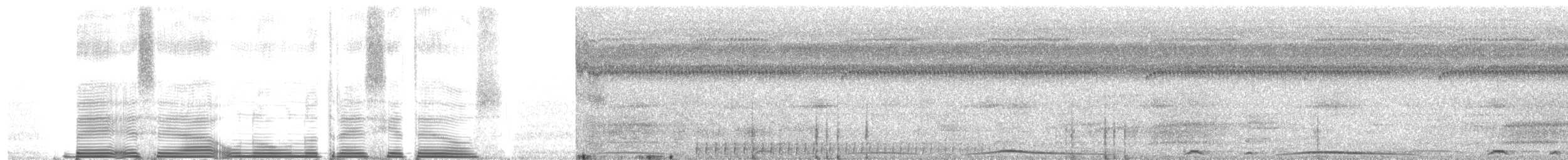 holub neotropický - ML261168