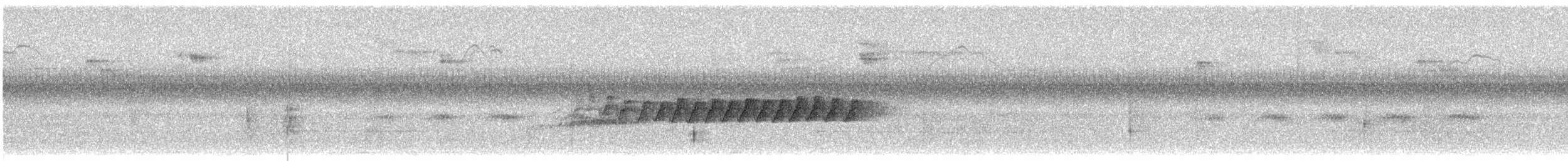 Pine Warbler - ML261184071