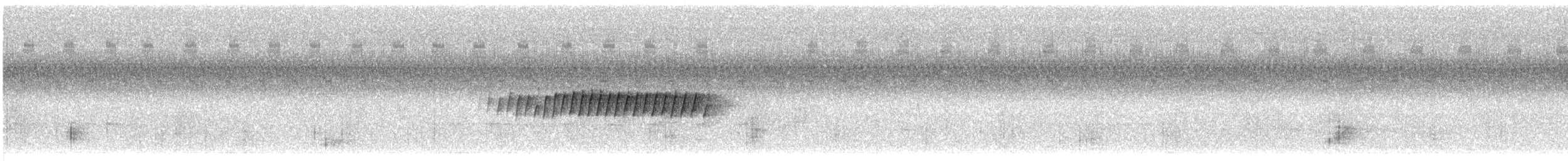 Pine Warbler - ML261184271