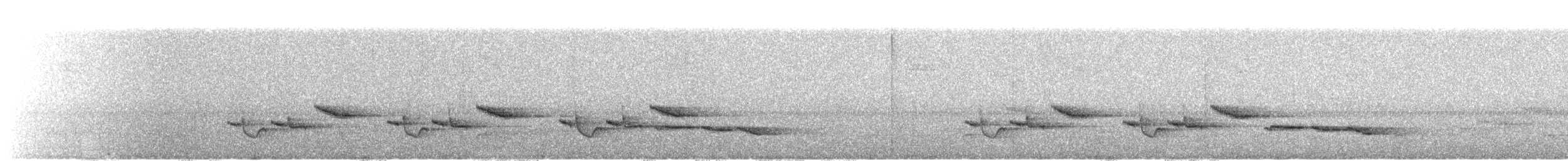 Troglodyte à poitrine blanche - ML261245711