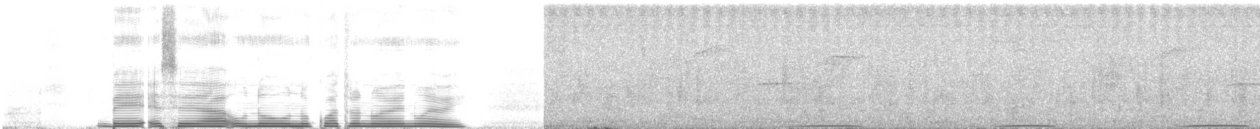 holub pruhoocasý - ML261295