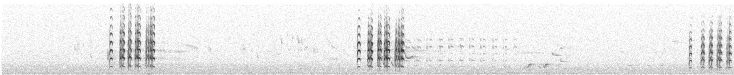 Maskenkiebitz (novaehollandiae) - ML261305421