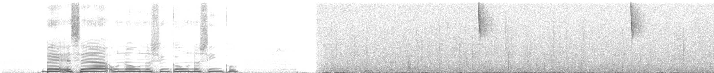 Бледнохвостый венценосец - ML261311