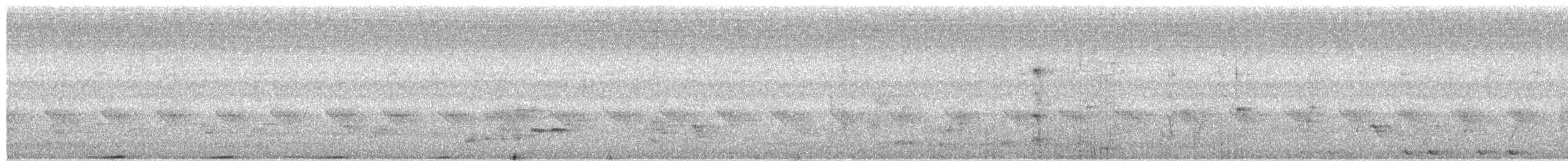 holub tmavohřbetý - ML261339331