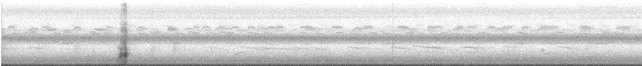 Зэрлэг нугас - ML261405891