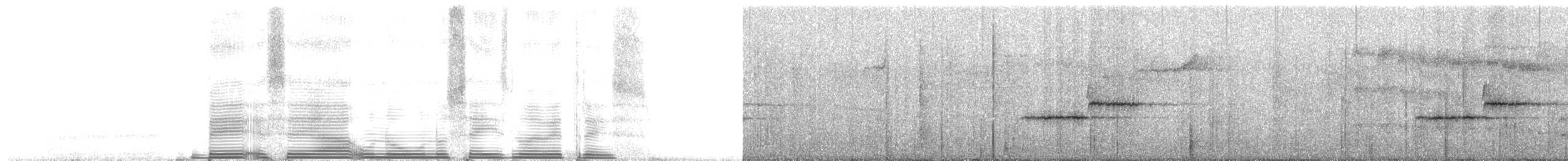 Gri Sırtlı Bülbül Ardıcı [fuscater grubu] - ML261489