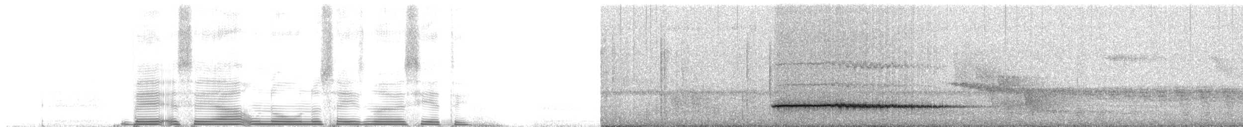Little Tinamou - ML261493