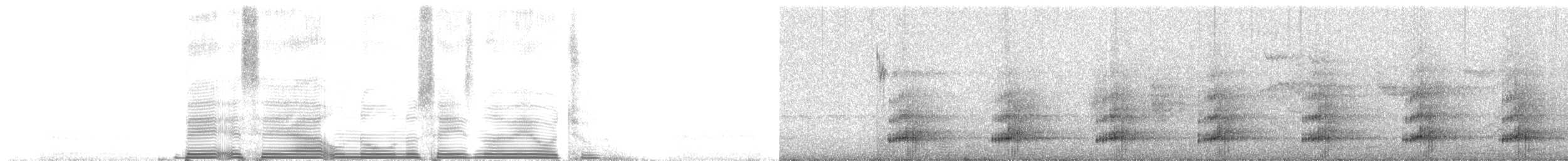 Keel-billed Toucan - ML261494