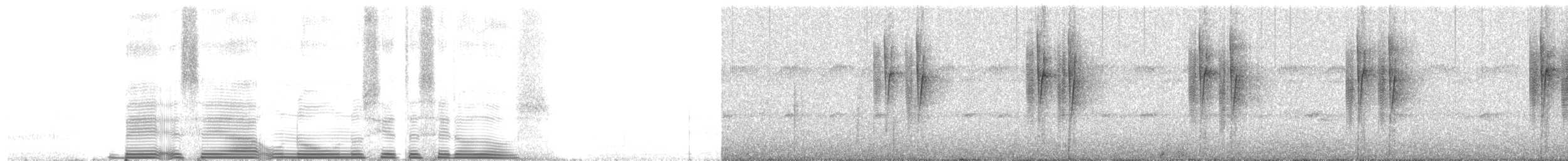 Зелоногрудый фиалкоух (cyanotus/crissalis) - ML261498