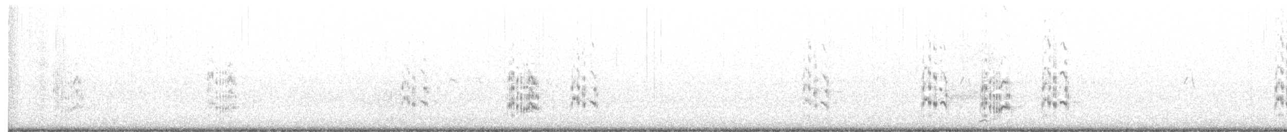 Elegant Tern - ML261502551