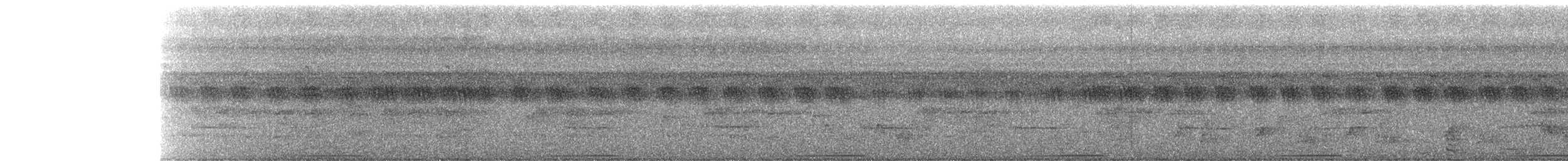 Spotted Buttonquail - ML261528881