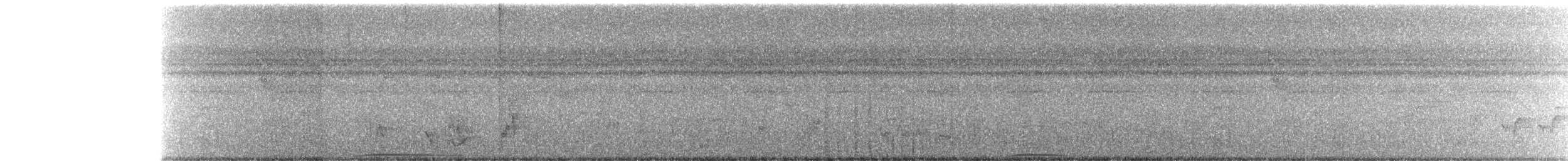 Spotted Buttonquail - ML261531391