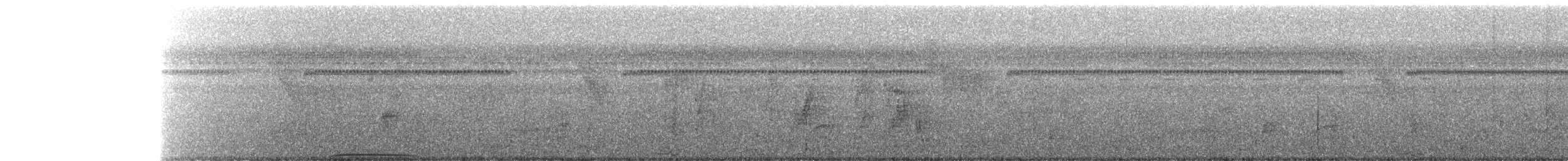 Spotted Buttonquail - ML261531481