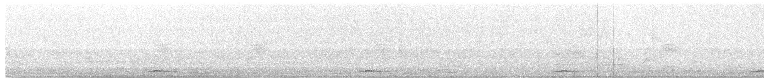 holoubek proužkokrký - ML261549321