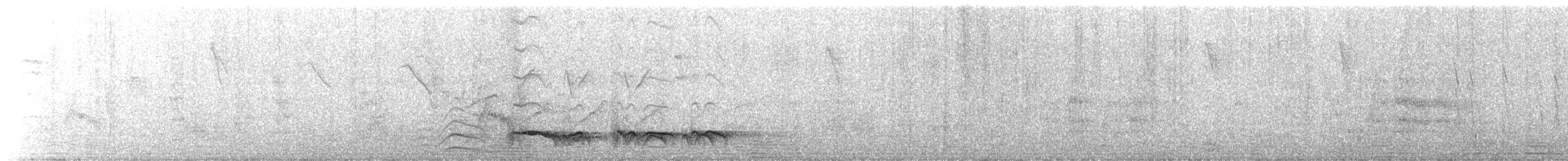 Лінивка-смугохвіст плямистобока (підвид maculatus) - ML261566901