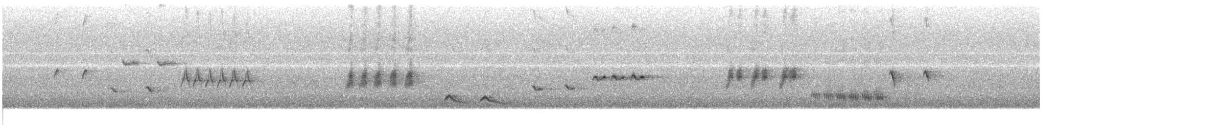 Mirlo Acuático Norteamericano - ML26159881