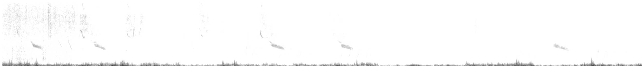 Arabian Babbler - ML261601681