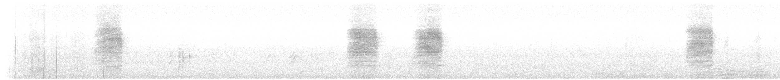 Troglodyte de Bewick - ML261650231