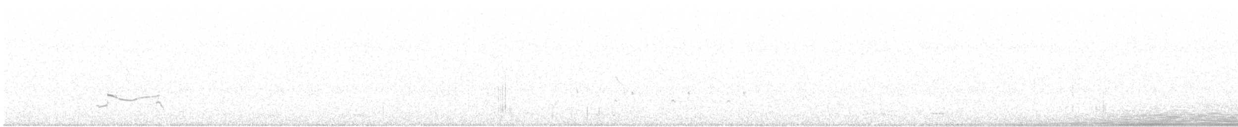 Kiebitzregenpfeifer - ML261657801